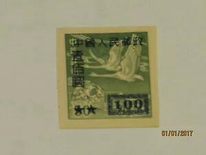 ?卂? p ؎ tCO O[X 100 hAl 1600 hA !!!!