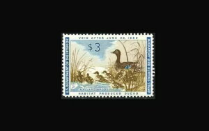 USA �A�M�_�b�N�؎� - �~���g OG&H�A�X�[�p�[ b S#RW28 ���Ɍy���q���W���t�������