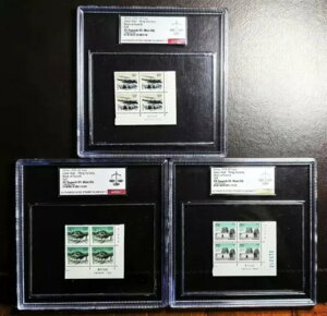 �����؎� 1999 R29 �����̒��� - ���� ASG XF/S 95 �~���g OG ��?�r/�O?��/�Û�?