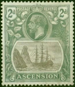 AZV 1924 2d O[ - ubN & O[ SG13b ujꂽv ǍD & Vi MM