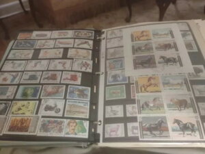 E̘b̐؎̑f炵RNVBf炵cBHCVI