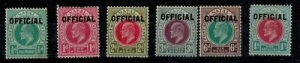 �i�^�[�� 1904 �I�t�B�V���� 1/2d�`1s SG 01-06 �~���g CV L375 ���Ɋ�