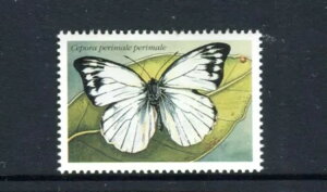 1997�N �m�[�t�H�[�N���o�^�t���C�Y - MUH�u�m�[�t�H�[�N�� 75�Z���g���� �����v(B)