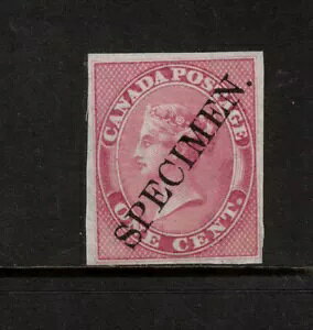 Ji_ #14Pii ChɈɐIȃv[gv[tic̍FW{tj