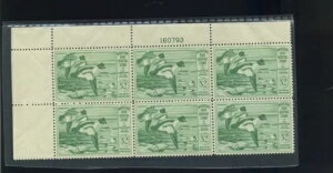 XRbg #RW16 tFf _bN ~g v[g 6 Zbg ؎ NH (݌ɔԍ RW16-pb6)