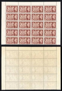 SG512 �����|���h�u���E���t�F�X�e�B�o�� U/M �n�[�t�V�[�g 20������i�K���܂�ڕt�� 2���j
