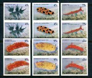 1993Nm[tH[NE~EV - MUHEyASZbg