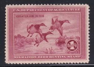 RW2 XF IWi K~gAyqWtAfGȐF CV $ 375 ! ʐ^ !