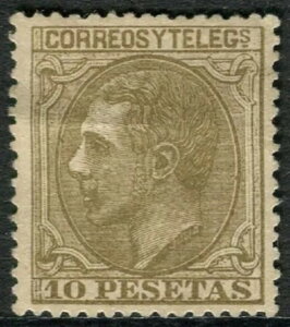 XyC 10yZ^ 1879N ZsAI[u / ɍ / yׁi*jAtH