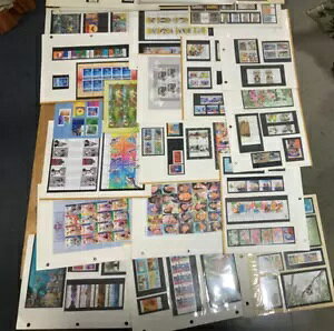 MUH̐؎Ǝv鏬_RNV̊zʉi600hȏ