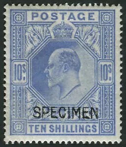 SG265s SpecM53(1)s 1902-10 10�b �E���g���}���� OPT. ���{ ���ɗǍD��M/M�A