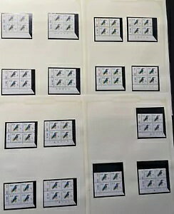 ��A�t���J SG282-296a�ARSA 1st ��`�A�������̃o���h �V�����_�[ �u���b�N NH MINT�B