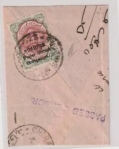 �C�M���X��̉��̃u�V���[���AVFU M. Sadri Cert �� SG5�B