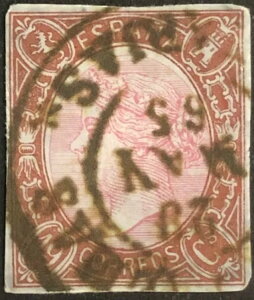 19���I���[�Y/�_�[�N�u���E���̃X�y�C���؎�i�s���S�Łj�B�C�U�x�������̔L�B2000���[���Bmi#64