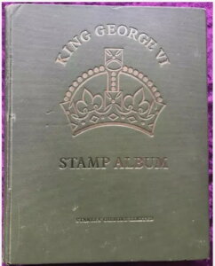 W[W6؎Ao KGVI 2000ȏ̐؎t X^[EM{Y KG 6 NE