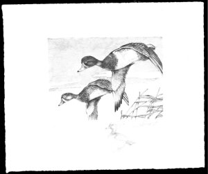 RW21 1954�N �A�M�_�b�N�؎�v�����g �����O�l�b�N �T���h�X�g���� Rem. 2nd