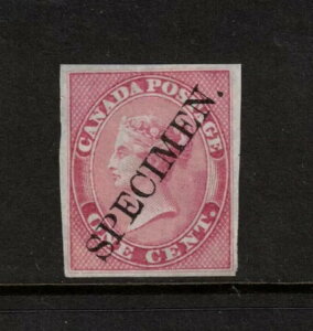 Ji_ #14Pii ChɈɔׂȃv[gv[t c^FW{