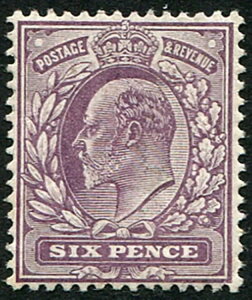 6d SG 248 iAuOCPvuX[g p[vv(OCP) ~gA̕i̔ɗǍDȐVN L/M...