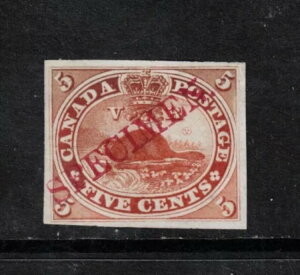 Ji_ #15TCiii ChɃJ[}CŎ΂߂̕W{`ꂽɔv[gv[t