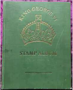 W[W6؎Ao KGVI 2000ȏ̐؎t X^[EM{Y KG 6 NE