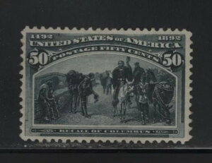 240 VF ~gIWiKAyqWtAfGȃJ[ CV t $ 450 ! ʐ^ !