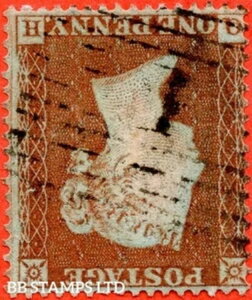 SG. 17wi. C1 (1)d.  QH . 1d �Ԓ��F. �ŉ�204. �t������. A B76661