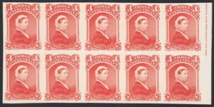 NFLD 3c QV v[tubNi󂠂jAXRbg 33PAJ[h VF AJ^Ot - 800 h