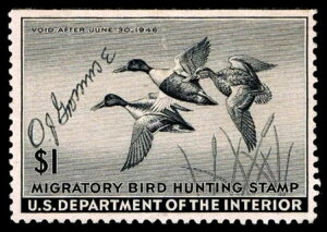 RW12 A[eBXg Owen J. Gromme (̐l) ɂTC NG (ESP#1482)