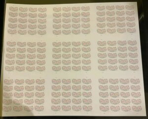 4765AYes I Do EFfBO vXV[g 9g 20؎ - X`A[gEJbc