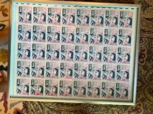 1993N - 29Zg̃GBX vX[؎V[gAȏԁB