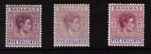 on} SG156a 1942 5/= 񂾃[YCbNƃu[̔Ȗ͗l̎Bz