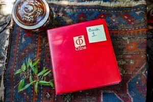 ؖ؎Ao 90ȏ̏Jo[ FDC vX 350ȏ̐؎ Bk#1