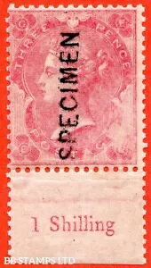 SG. 75 i J25 A. uEGvB3D[YɁuVF[htXphvBf炵U B24228