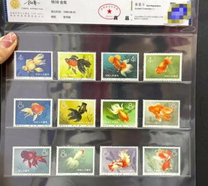 CAC S38  1960.06.01 RNV ؎tZbg {