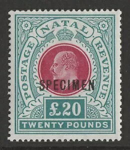 NATAL 1902 KEVII ?20 wmk Crown CC SPECIMEN�B�ʏ�̔L ?32,000�B