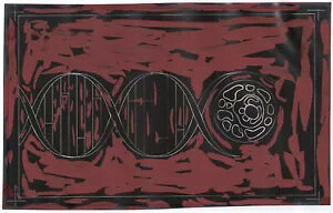 CXG Sc257 Ȋw זEqAfUCi[A[g[N̏ؖAGbZC2