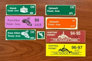 CfBAn̒ނƎ̐؎n - }J - gDbvȂ