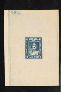 �j���[�t�@���h�����h #247DP �G�N�X�g���t�@�C���_�C�v���[�t�i����ɔ��]�_�C�ԍ��t���j