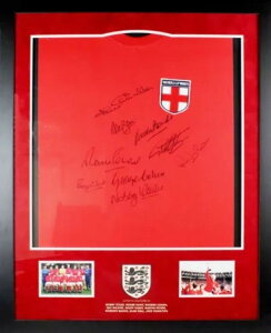 1966NFIFA[hJbvD`[̃TCCOh\Vcizj