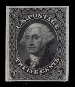 MOMEN: č؎ #36BP3 v[gv[tACh PF ؖ bg #85993