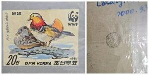 O) 1987N ؍AA[g[NA - AqAERی - WWFAIVh