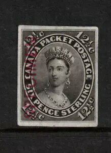 Ji_ #18TCvi Chō̔ɔgCAJ[v[gv[t *ؖt*