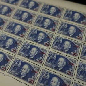 f炵I؎V[g - N}EAf No. 493 x25 ~g **  MNH