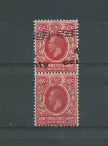 ���A�t���J �E�K���_ 1919 4C �I�� 6C �y�A 1 �d��Ȃ� Mlh Caffaz MF23200-
