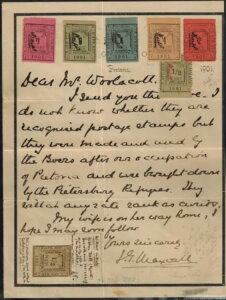 TRANSVAAL �s�[�^�[�X�o�[�O�L�O�i���^�[�i�����t�� 1/2d-1s ����я����Ȃ� 1/2d �G���[�t���j