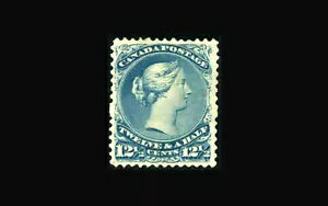 Ji_؎AVF/XF S#28 tbVJ[A~gAKȂA~V12