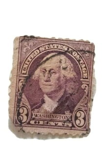 ���V���g���B �A�����J���O�� �X�֗��� 3�Z���g �p�[�v���t�B�I���b�g