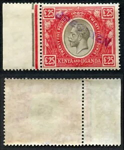 KUT SG102s KGV 25�|���h ���ƐԂ̃I�v�g�W�{ ��DLR�A�[�J�C�u