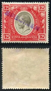 KUT SG102s KGV 25|h ƐԂ̃IvgW{ DLRA[JCu