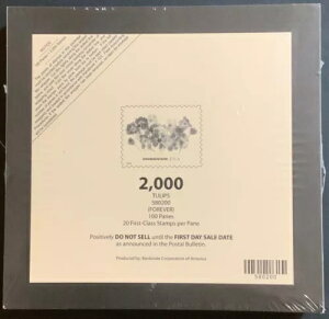 `[bv tV[pbh 100 - t@[XgNX؎ - X`A[gEJbc